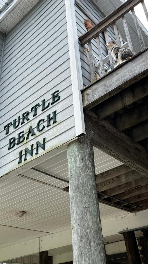Turtle Beach Inn Indian Pass Extérieur photo
